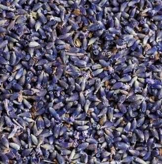 Lavender tea - Image 2