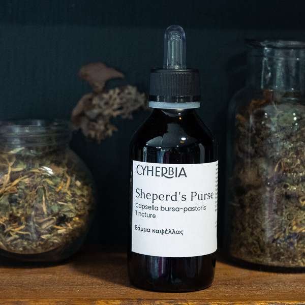 Shepherd’s Purse Tincture