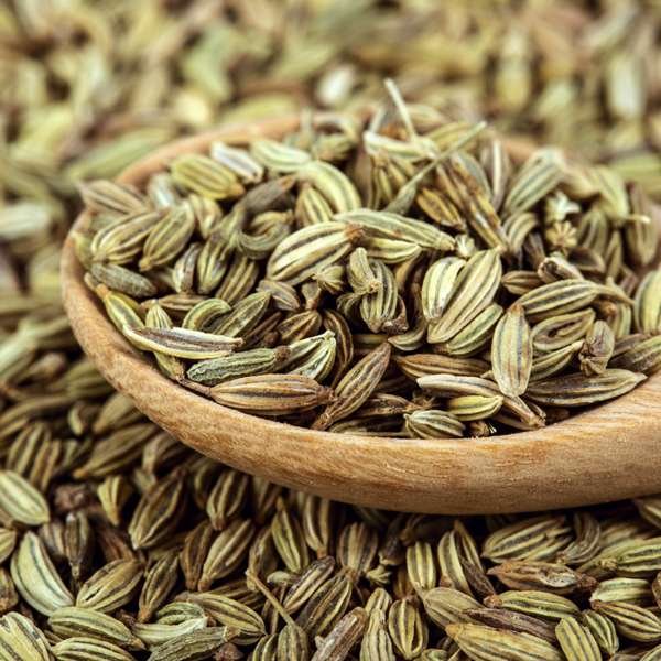 Fennel - Image 2