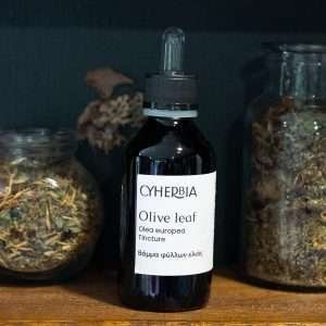 Olive Leaf tincture