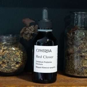Red Clover tincture