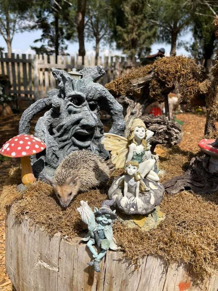 Fairy Festival in Cyprus 2019 | Magical Family Event at Cyherbia
