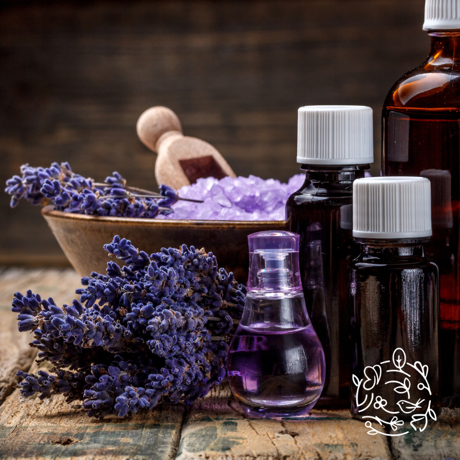 rosemary oil helps hair growth