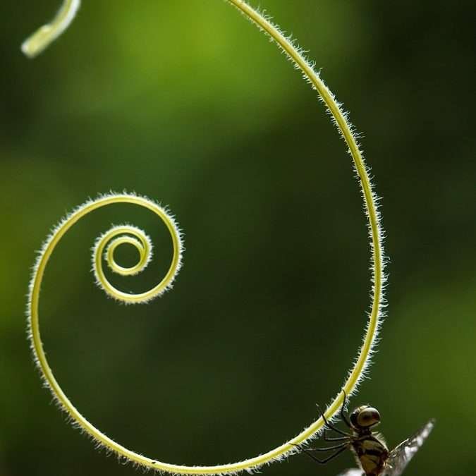 How to Reconnect with Nature | 5 Simple Ways to Feel Grounded Again