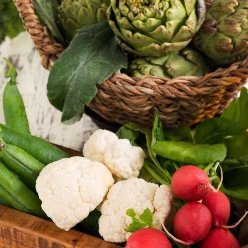 Green Monday in Cyprus 2019 | Family Vegan Festival at Cyherbia