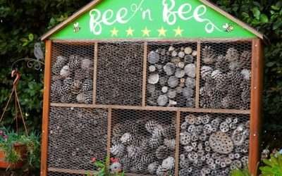 Air Bee ‘n’ Bee Hotel at Cyherbia Botanical Park